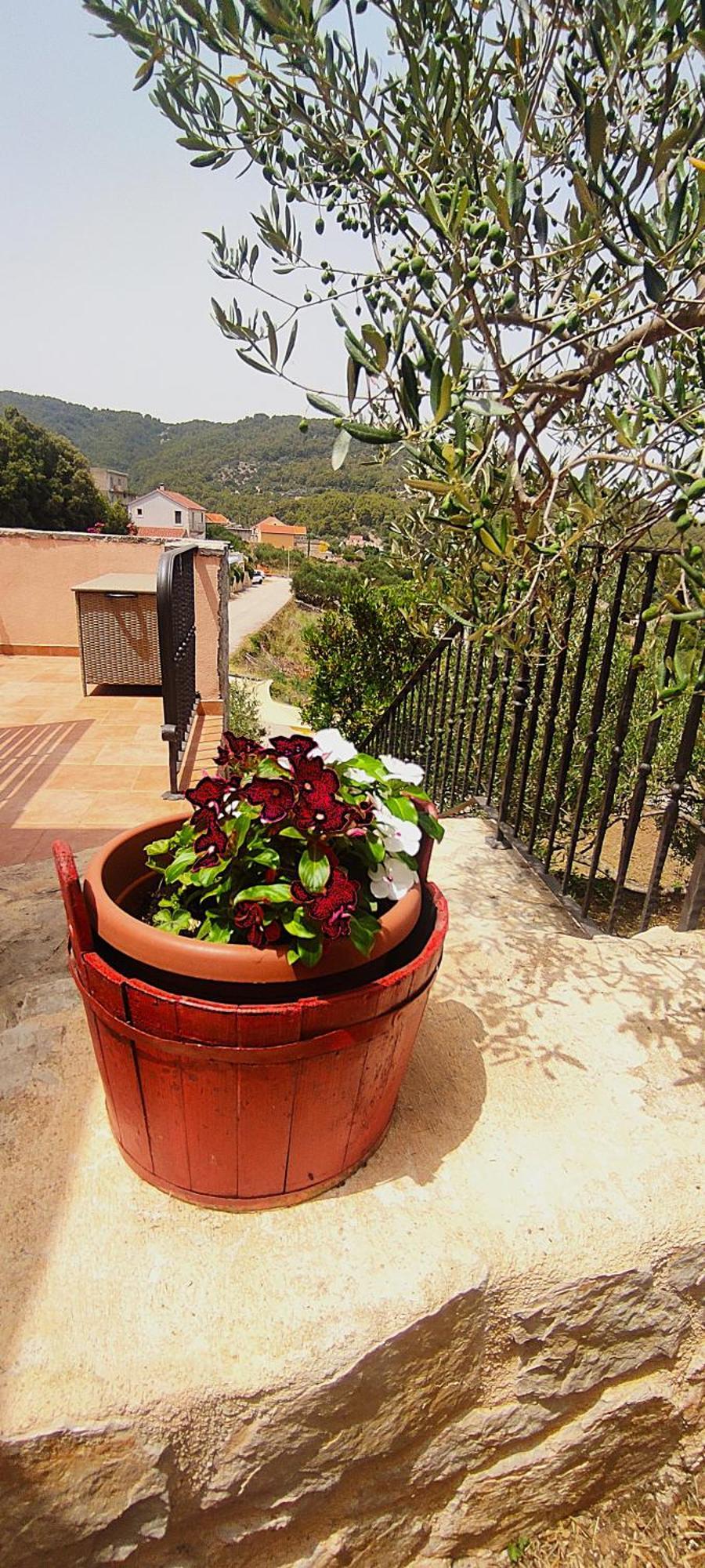 Merlo House Dol Hvar Stari Grad  Esterno foto