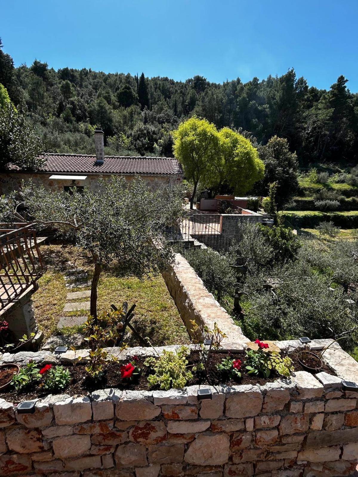 Merlo House Dol Hvar Stari Grad  Esterno foto